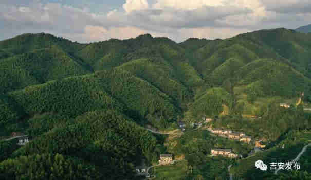 江西省井岡山市神山村一景