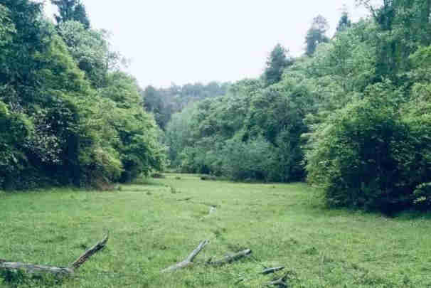 井岡山荷花鄉(xiāng)