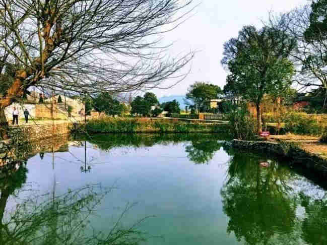 湘洲
