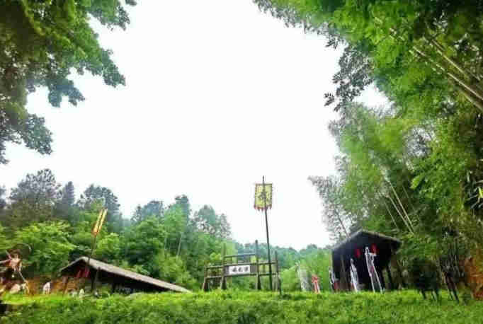 花臣武寨