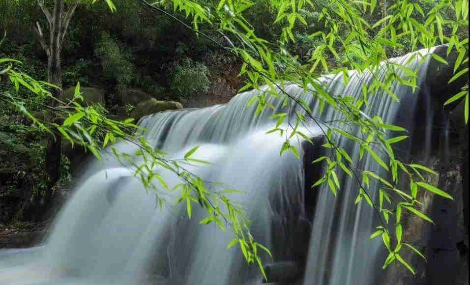 源頭活水