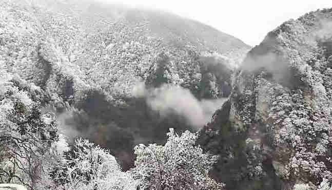 井岡山雪景