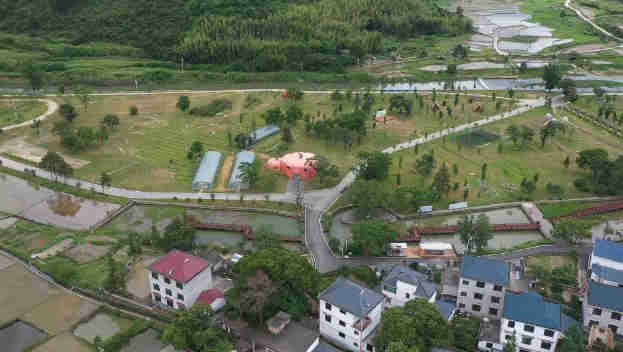 井岡山端午六一旅行動態(tài)